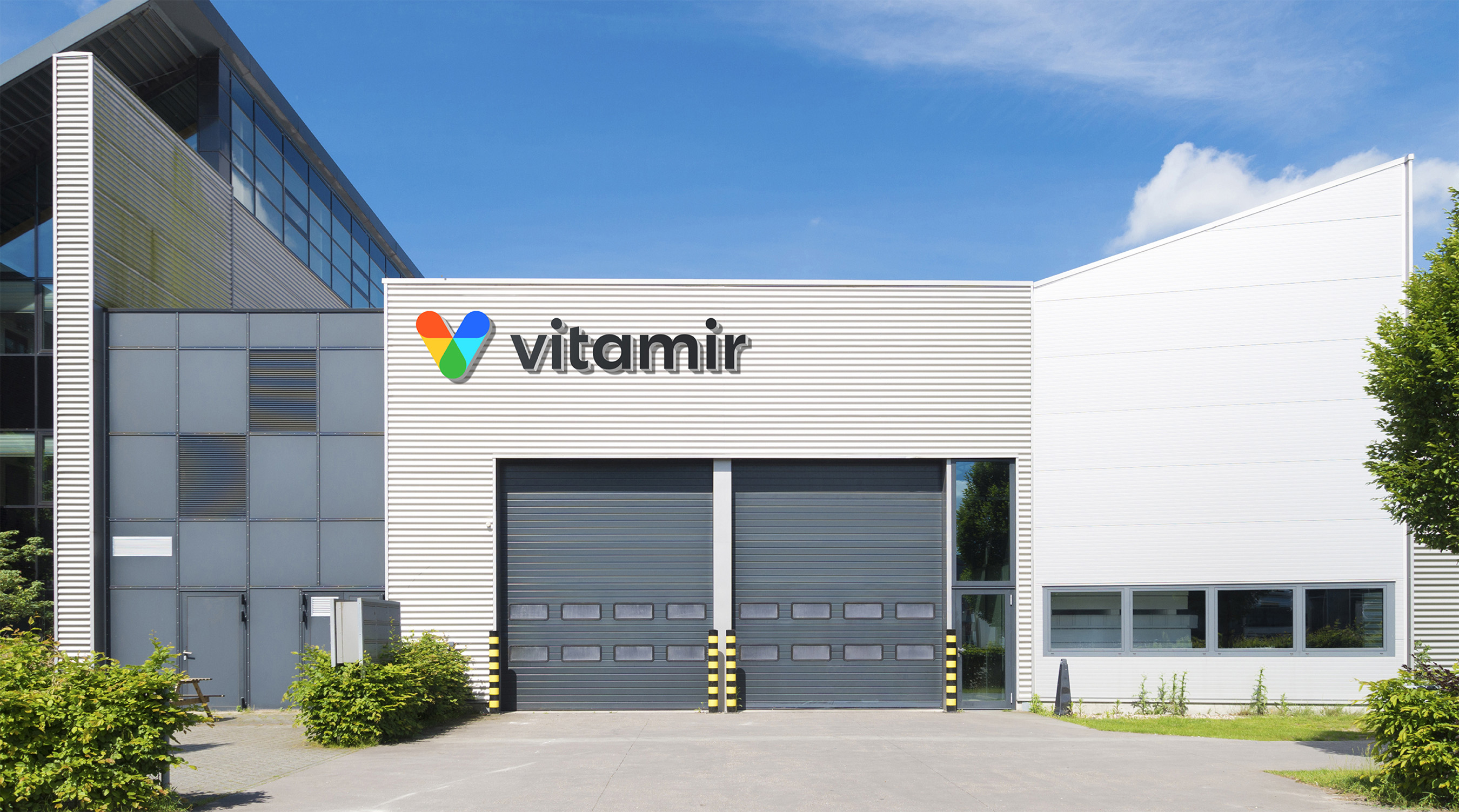 Создание логотипа компании Vitamir