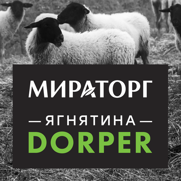 Дизайн логотипа мяса Мираторг Dorper